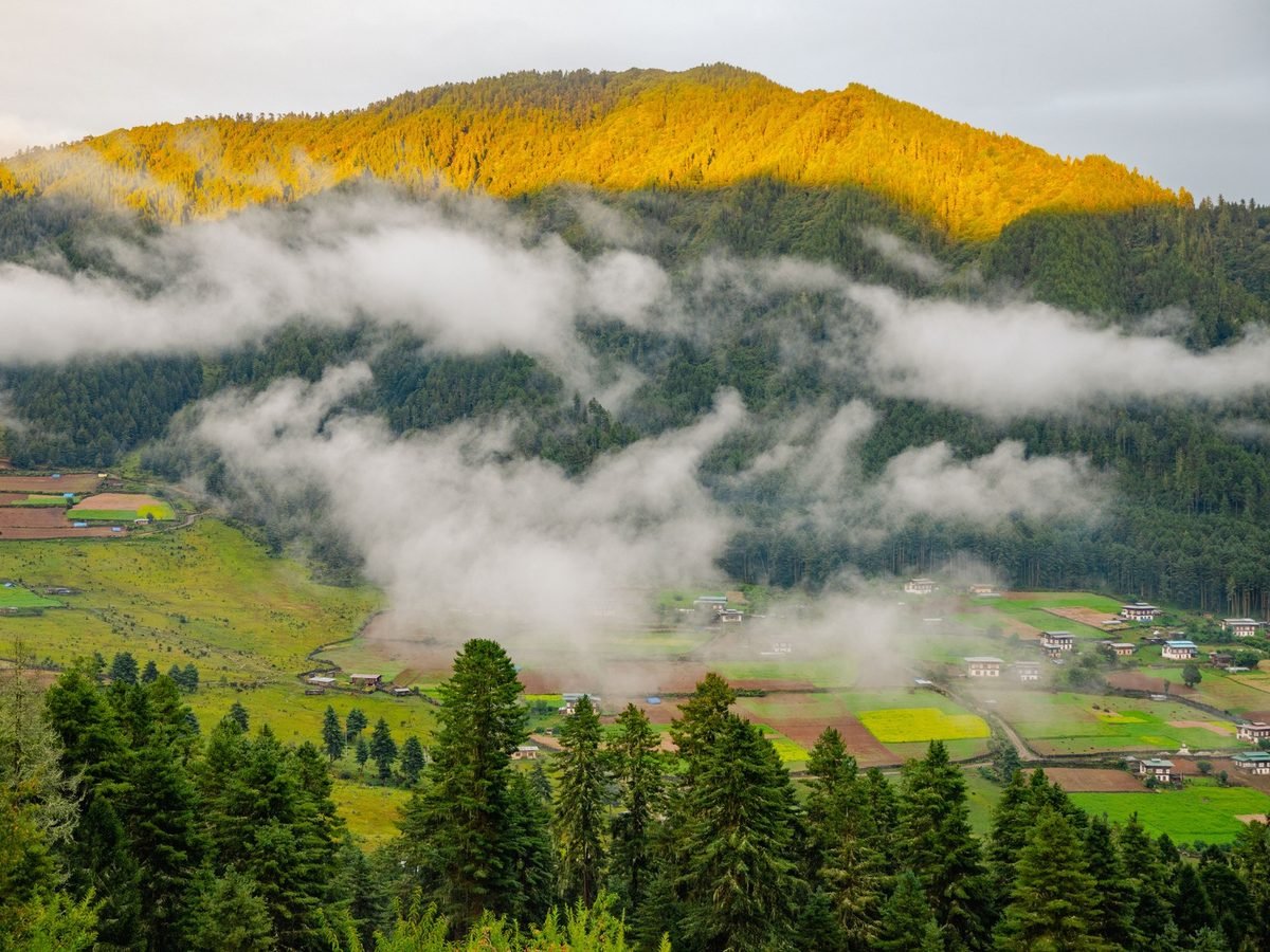 Morning cloud drifting through a green Bhutanese valley below gold-lit forested ridges
